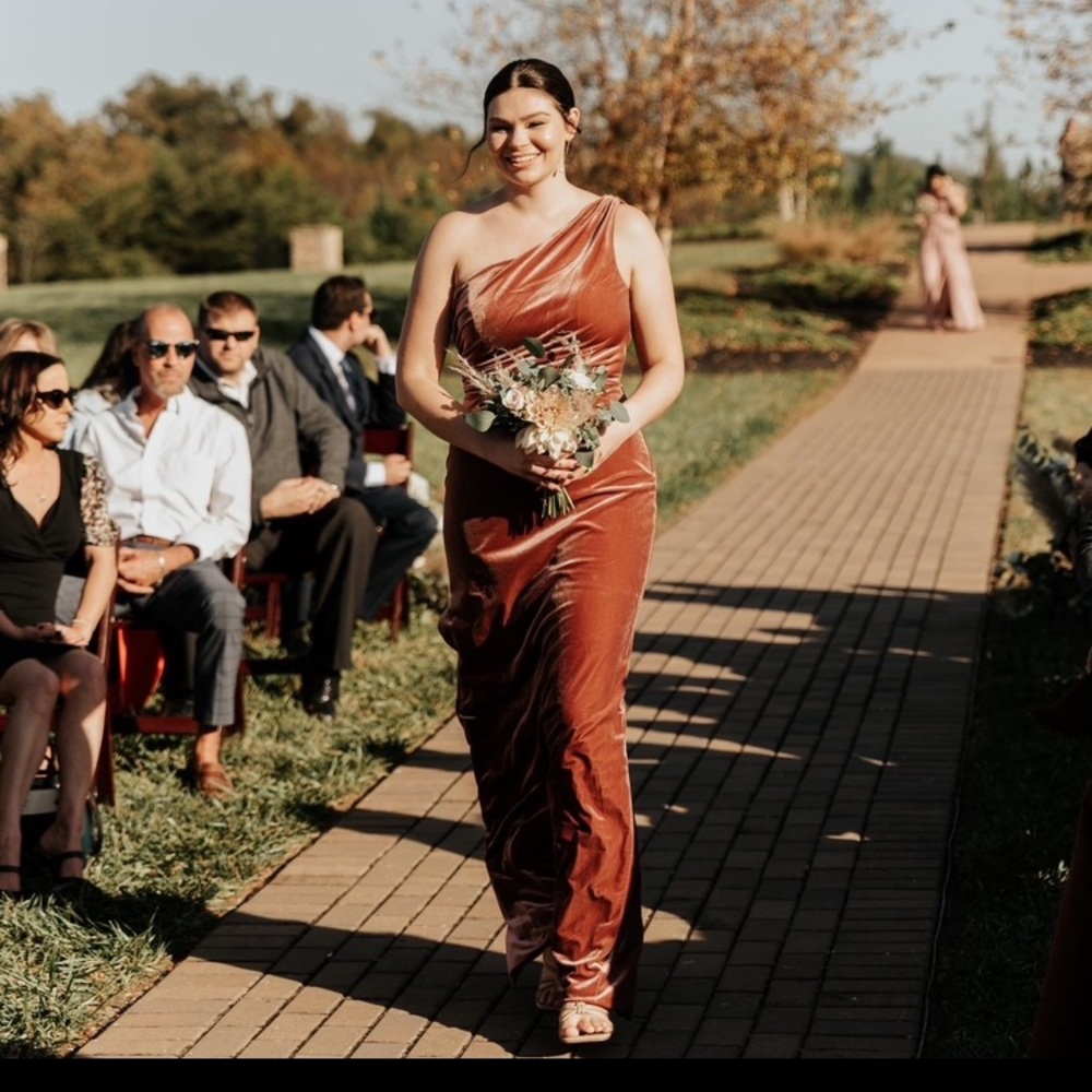 Revelry Moira Dress in Dusty Rose Velvet